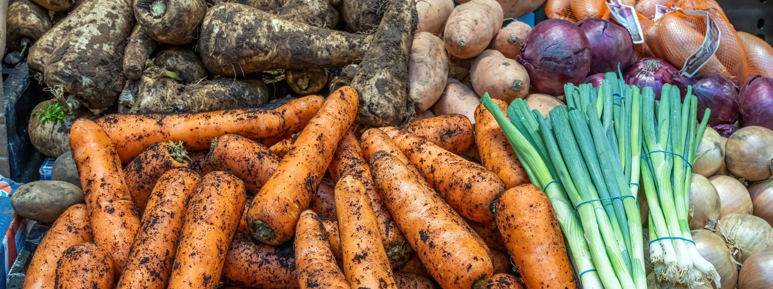 Alza de Precios en Alimentos: La Sequía y el Calor Golpean la Economía Familiar en México