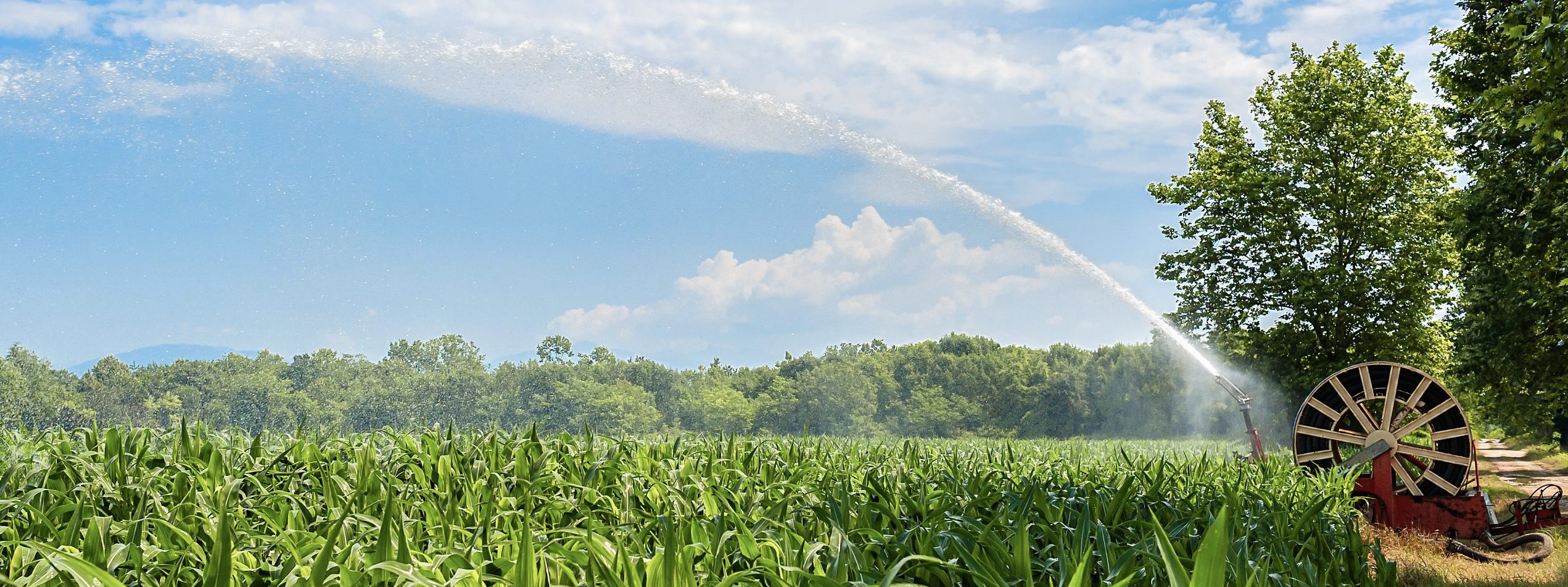 Urgencia de Modernizar el Riego Agrícola en México: Desperdicio de Agua y Retos Tecnológicos