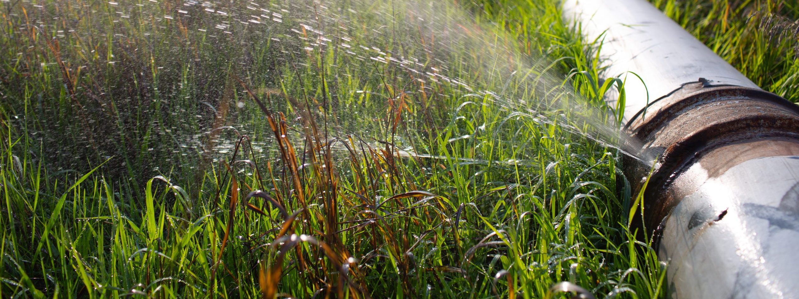 Revitalizando el Campo Mexicano: La Urgencia de Modernizar los Sistemas de Riego para Conservar el Agua