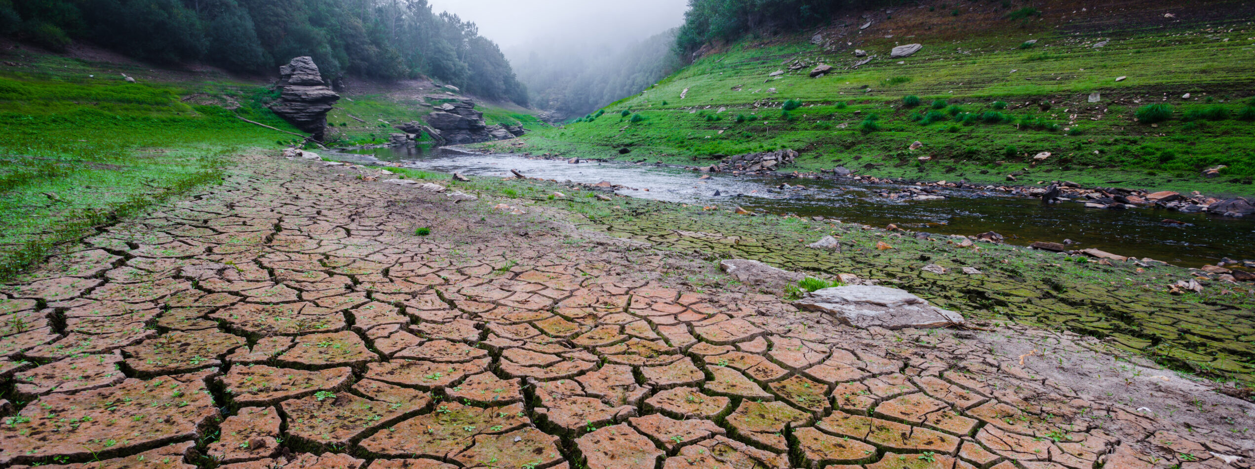 Crisis en el campo mexicano por sequías y escasez de agua